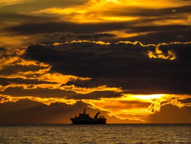 Fishing ship in Iceland during sunset