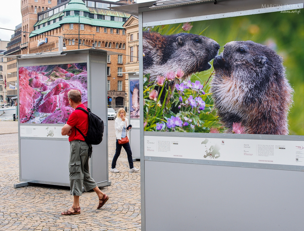 wild wonders of Europe - Stockholm